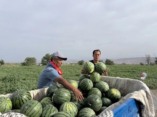 西昌李嫂吃瓜视频,揭秘网络红人的日常生活