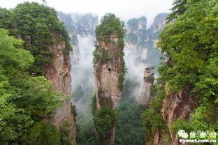 张家界网友吃瓜视频,一场别开生面的“吃瓜”盛宴