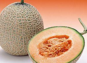 兔子可以吃哈密瓜丝吗视频,揭秘哈密瓜丝的适口性