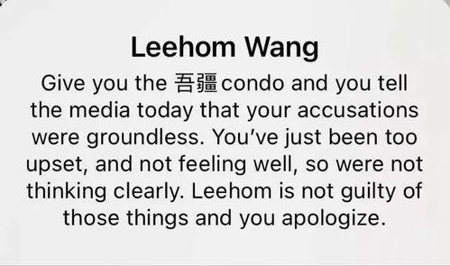 美国人吃瓜王力宏视频,美国人眼中的华语乐坛风云