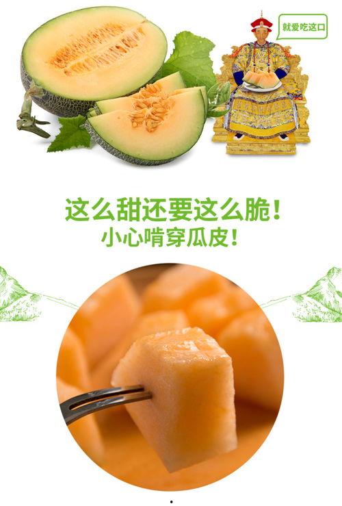 如何吃小蜜瓜好吃视频讲解,视频教学，轻松学会甜蜜滋味