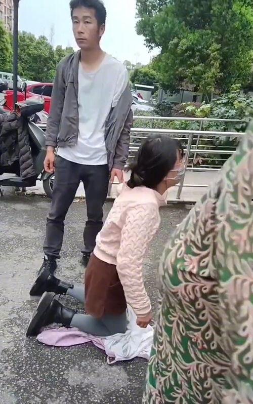 吃瓜群众铲屎官视频,宠物日常趣味瞬间