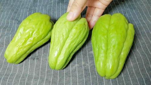 猴哥吃佛手瓜视频大全,佛手瓜美食视频大盘点